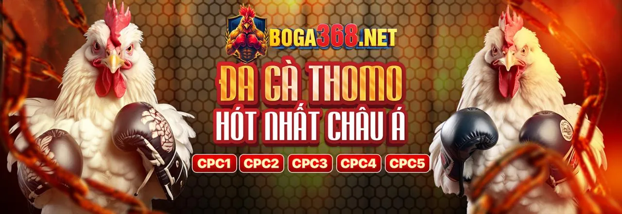 Khuyến mãi độc quyền trên ứng dụng fb66 nhà cái